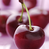 cherry_170x.jpg