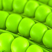 peas.jpg